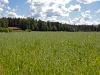 Karlslundsskogen, 2012-07-20.